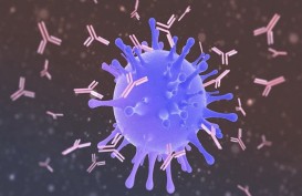 Haruskah Cek Kadar Antibodi Pasca Suntik Vaksin Covid-19? Begini Penjelasan Dokter