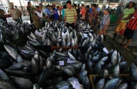 Peluang Ekspor ke AS dan China Besar, Ini PR Industri Budidaya Ikan
