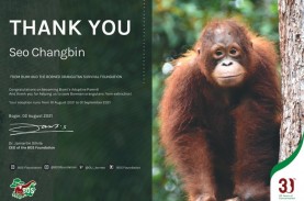 Mau Kasih Hadiah Anti Mainstream Adopsi Orangutan?…