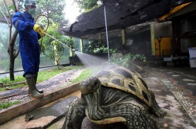 PPKM Level 3, Taman Mini Indonesia Mulai Dibuka Hari…