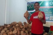 Bobby Nasution Tunjuk Pedagang Kelapa Jadi Dirut Perumda Pasar Kota Medan