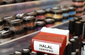 Produk Halal Indonesia Sulit Tembus Pasar Eropa. Kenapa?