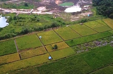 Pertamina Hulu Indonesia Dorong Inovasi untuk Revitaliasasi Lahan Pascatambang