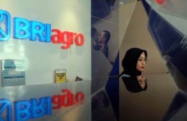 Arah Bisnis BRI Agro (AGRO) Usai Ganti Kulit Jadi Bank Raya Indonesia