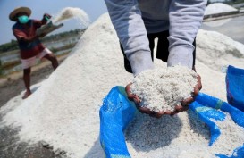 Surabaya Merencanakan Pengadaan Geomembran bagi Petambak Garam