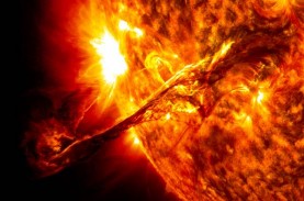 Peneliti Sebut Pedoman Asupan Sinar Matahari untuk…