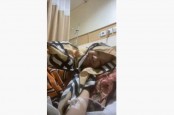 Dorce Gamalama Terbaring Lemah di Rumah Sakit
