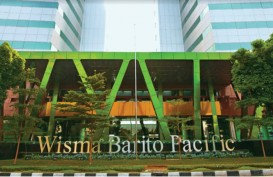 Makin Ekspansif, Barito Pacific (BRPT) Targetkan Capex US$8,3 Miliar Hingga Tahun 2026