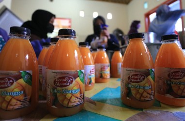 Panen Raya Mangga Probolinggo, UMKM Diminta Kembangkan Produk Turunan