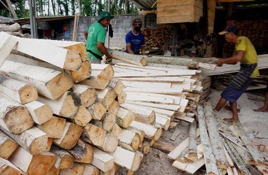 Penjualan Log Kayu Perhutani Jatim Diyakini Bisa Tembus Rp774,3 Miliar Tahun Ini