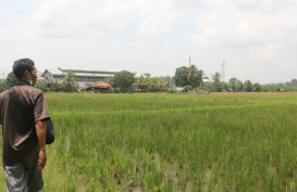Pupuk Indonesia Siapkan 18.482 Ton Pupuk Subsidi di Sumsel