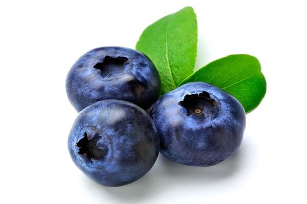 Blueberry - freegreatpicture.com