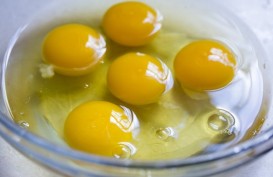 Benarkah Kuning Telur Bikin Kolesterol Tinggi?