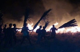 Kebakaran Lahan di Taman Nasional Komodo Diperkirakan 10 Hektare