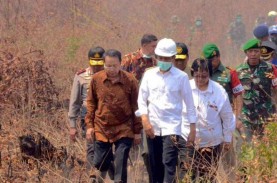 Riuh Kicauan Siti Nurbaya Bakar, Deforestasi Hutan…
