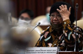 Greenpeace Sayangkan Pernyataan Menteri LHK Siti Nurbaya