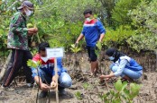 KKP Optimistis Target Restorasi Mangrove 600 Ribu Hektare Tercapai Tahun 2024