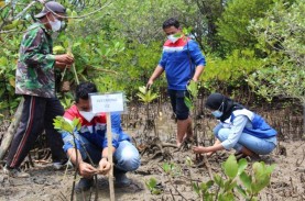 KKP Optimistis Target Restorasi Mangrove 600 Ribu…