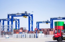 Diguyur Investasi dari Uni Emirat Arab, Pelindo Kembangkan Green Port
