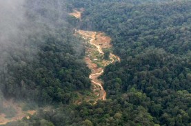 Balas Menteri LHK, PKS: Deforestasi Tak Pernah Bawa…