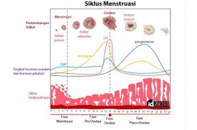 Cara Mengobati Kram Menstruasi