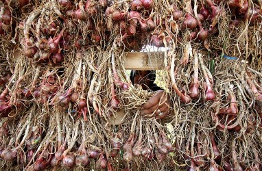 Harga Bawang Merah di Bima Anjlok, Stok Tersedia 8.000 Ton