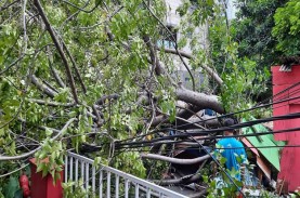 BMKG: Waspada Potensi Hujan dan Angin Kencang di Jakarta…