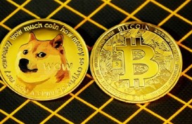Dogecoin dan Shiba Inu Lagi Naik Daun, Begini Kata CEO Tokocrypto
