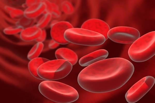 Ilustrasi sel darah merah - Istimewa
