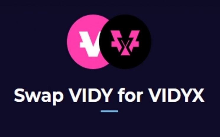 VIDY dan VIDYX - Istimewa