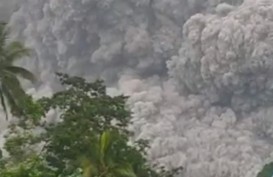 Letusan Gunung Semeru Jadi Sorotan Media Global, DPD RI Minta Pemerintah Siaga