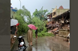 Jakarta Diguyur Hujan Lebat, Foto-Foto Pohon Tumbang di Kalimalang dan Permata Hijau