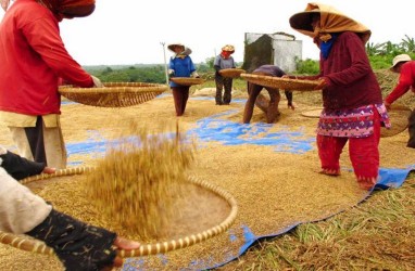 Bulog NTB Bidik Segmen Penyuka Beras Untuk Nasi Kebuli