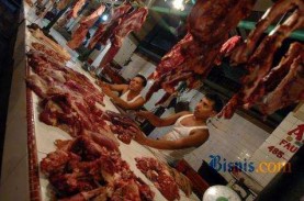 Berdikari Perkirakan Realisasi Impor Daging Sapi Brasil…