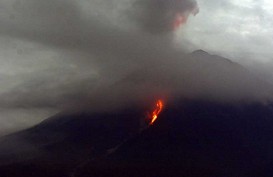 Gunung Semeru Erupsi Lagi, Begini Status Terkini Gunung Api di Indonesia