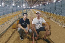 Aplikasi Smart Farm Ini Bantu Peternakan Ayam Broiler…