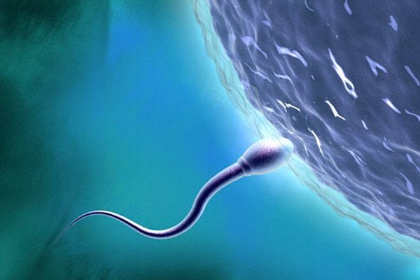 Hati-hati Para Pria, Covid-19 Ternyata Turunkan Kualitas Sperma Selama 3 Bulan