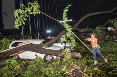 Detik-detik Mobil Penumpang Tertimpa Pohon Saat Hujan Lebat