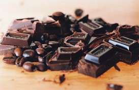 Ini Jenis Cokelat yang Bikin Usus Sehat dan Mood Bahagia