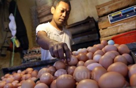 Harga Telur Ayam di Kabupaten Cirebon Tembus Rp30.000