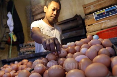 Harga Telur Ayam di Kota Madiun Mencapai Rp30.000/Kg