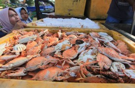 Perikanan Indonesia Perkuat Lini Pengolahan dan Perdagangan Ikan