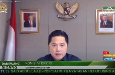 Tidak Bertemu saat Sidak, Erick Thohir Minta Direksi PLN Paparkan Situasi PLTU secara Virtual