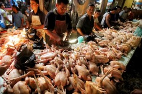 Harga Daging Ayam di Kota Medan Sentuh Rp42.000 per…