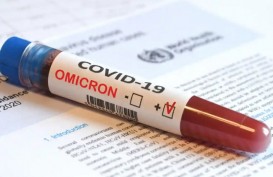 WHO Prediksi Setengah Populasi Eropa akan Terinfeksi Omicron 2 Bulan Mendatang