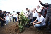 Lestarikan Danau Toba, Menteri Erick Thohir dan BUMN Targetkan Tanam 460 Ribu Pohon   