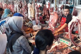 Kebutuhan Impor Daging Sapi 2022 Capai 266.000 Ton…
