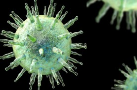 Studi Terbaru: Virus Herpes dapat Sebabkan Multiple…