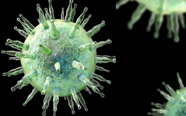 Virus Epstein Barr atau virus Herpes - the/scientist