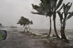 Tsunami Tonga, Kepanikan Menjalar ke Negara Kawasan…